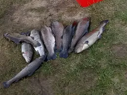 Fischzucht Knutzen-4