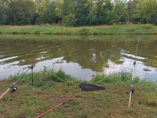 Alte Saale (Nienburg/Saale)-3