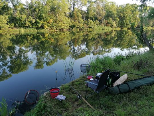 Alte Saale (Nienburg/Saale)-1