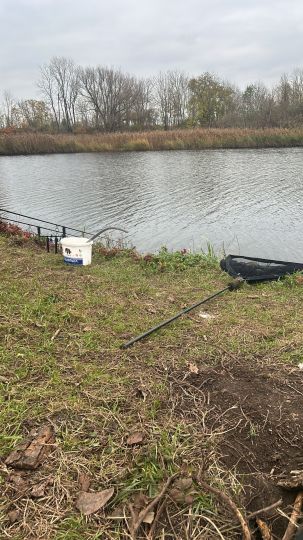 Alte Saale (Nienburg/Saale)-4