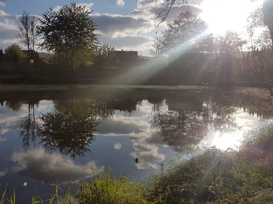 Angelparadies Herrhausen-2