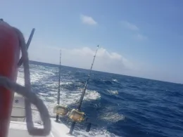 Indischer Ozean (Seychellen)-1