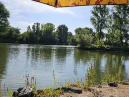 Wilhelmswörthweiher