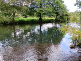 Stausee Ehreshoven I (Looper Stau)-1