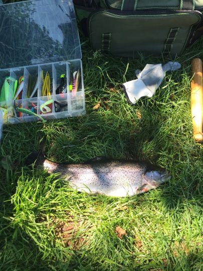 Fischzucht Aumühle-3