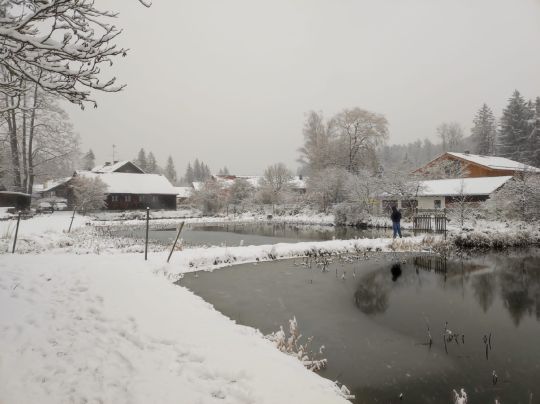 Fischzucht Aumühle angeln