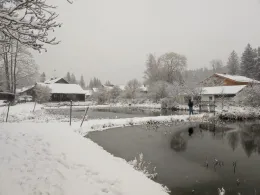 Fischzucht Aumühle-1