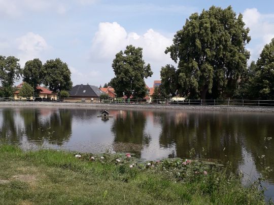 Dorfteich Danstedt-0