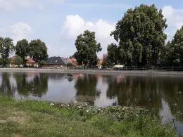 Dorfteich Danstedt-0