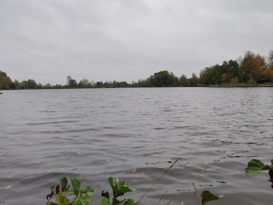 Nordteich (Wehrder)-1