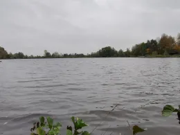 Nordteich (Wehrder)-1