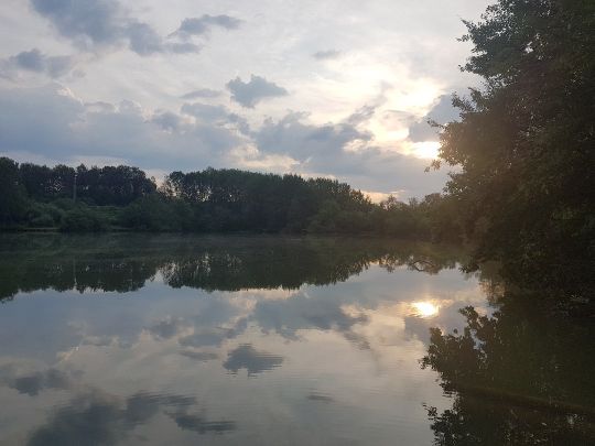 Silbersee (Wirges)-2