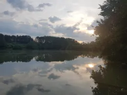 Silbersee (Wirges)-2