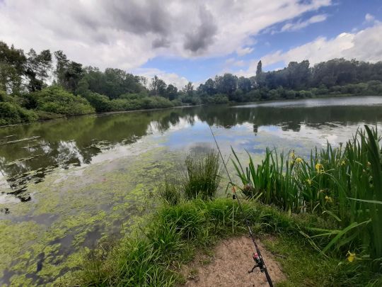 Silbersee (Wirges)-3