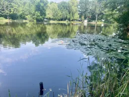 Parkteich Ortrand-3