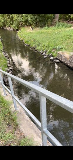 Gillbach (Niederaußem)-1