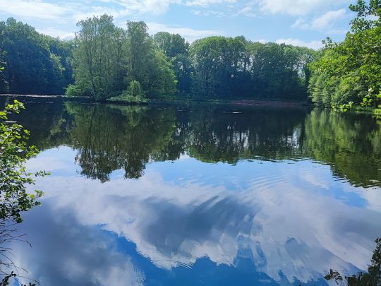 Mühlenteiche Karoxbostel-0