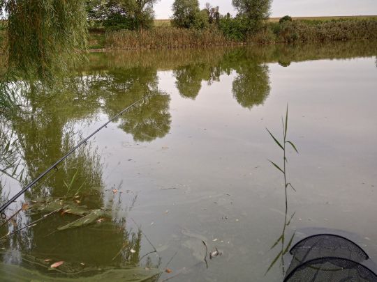 Sannensee (Blumberg)