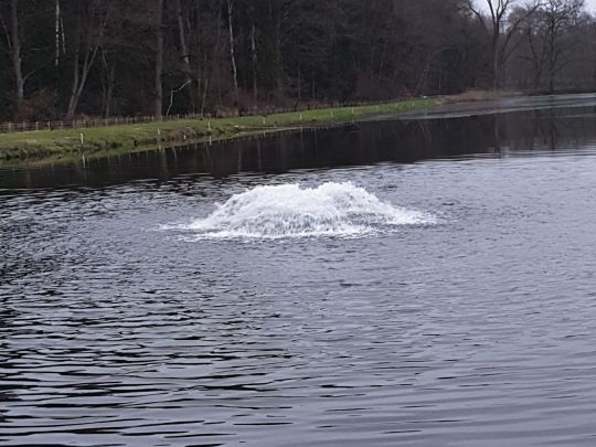 Angelteich Rutenmühle-3