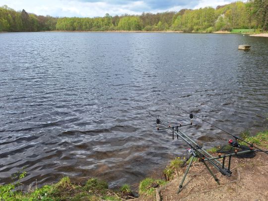 Priorteich (Walkenried)-2