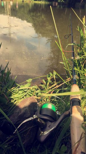 Fisch und Fun (Waldmohr)