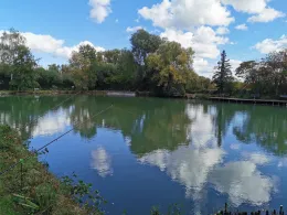 Vereinsteich ASV Massenheim-2