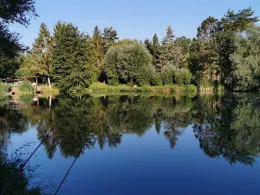 Vereinsteich ASV Massenheim-1