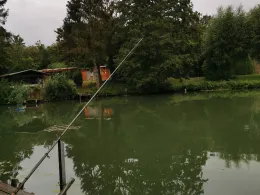 Vereinsteich ASV Massenheim-3