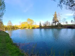 Vereinsteich ASV Massenheim