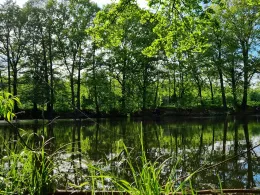 Lehmgrube Hellerau-3