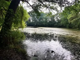 Lehmgrube Hellerau-2