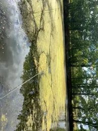 Lehmgrube Hellerau-1