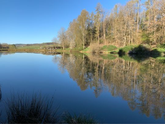 Gerolsteiner Stausee-3