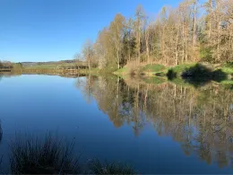 Gerolsteiner Stausee-3