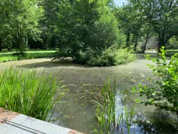 Schloßteich Vetschau