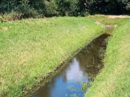 Flöthe (Espelkamp)-1