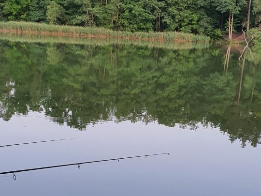 Kiesgrube Marienwerder angeln