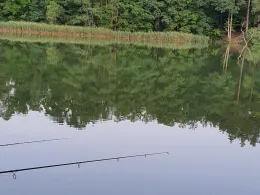 Kiesgrube Marienwerder-2