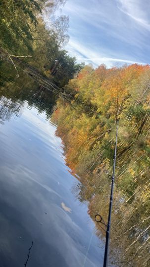 Kiesgrube Marienwerder-3