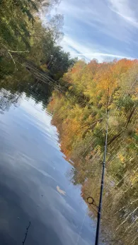 Kiesgrube Marienwerder-3