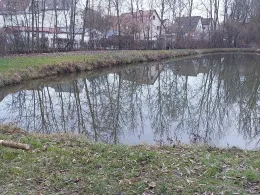 Eisweiher (Wittislingen)-1