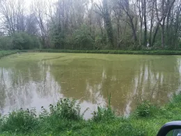 Eisweiher (Wittislingen)-2