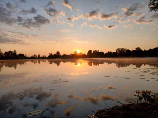 Birklensee (Neu-Ulm)-1