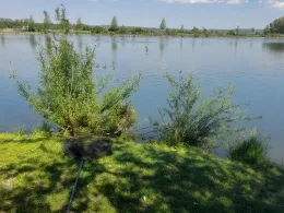 Birklensee (Neu-Ulm)