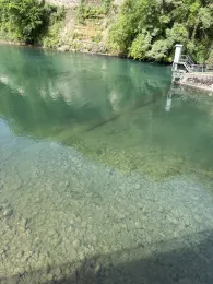 Limmat (Baden)-2