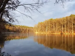 Krumme Lanke (Lanke)-3