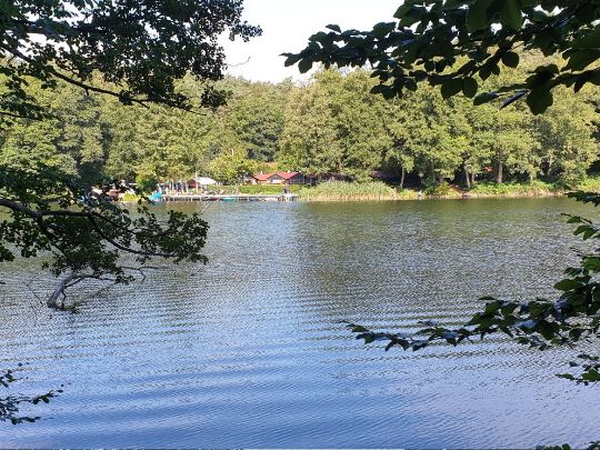 Krumme Lanke (Lanke)-4