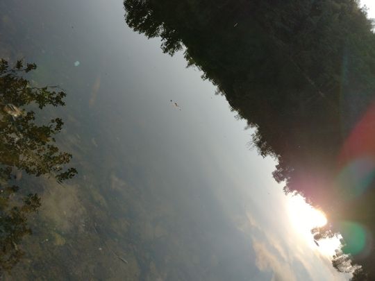 Krumme Lanke (Lanke)-2