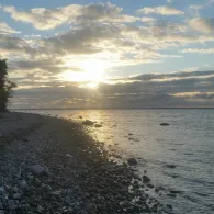 Ostsee (Dänisch-Nienhof)-3