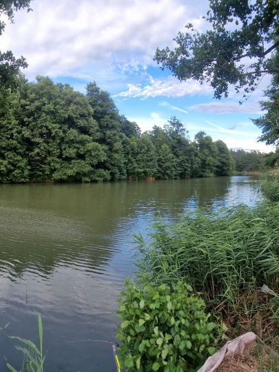 Neuaufschluß Großrössen-2